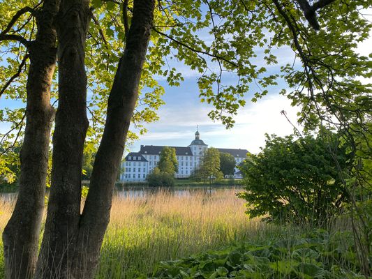 Gartenblick