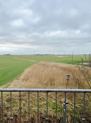 Landschaft