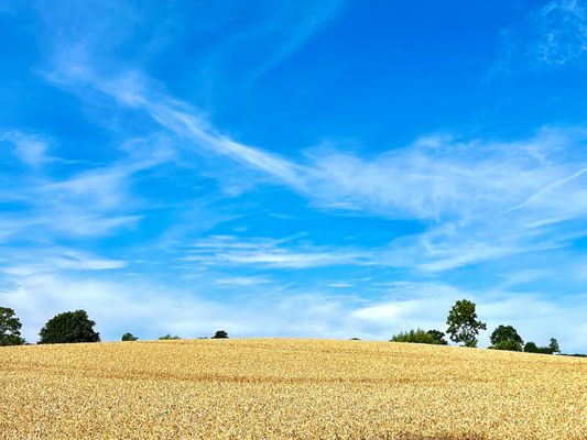 Landschaft