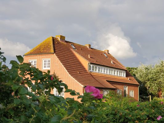 Foto 1 Ferienwohnung Ostfriesland Juist Ferienwohnung Landhaus Bant (Objekt 75901) buchen