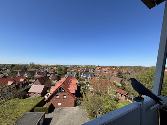 Foto 12 Ferienwohnung Ostfriesland Friesland Tief 10 mit beheiztem Pool - Abendsonne  Internet 508 (Objekt 26303) suchen