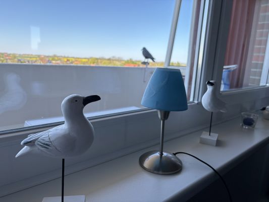 Foto 1 Ferienwohnung Ostfriesland Friesland Tief 10 mit beheiztem Pool - Abendsonne  Internet 508 (Objekt 26303) buchen