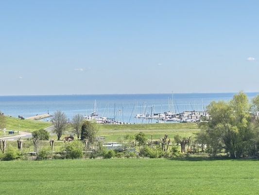 Foto 11 Ferienwohnung Ostfriesland Friesland Tief 10 mit beheiztem Pool - Seemann 605 (Objekt 26311) buchen