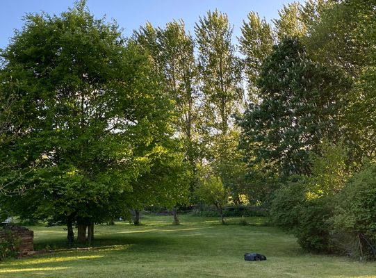 Landschaft
