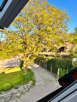 Gartenblick