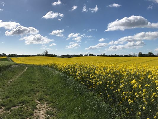 Landschaft