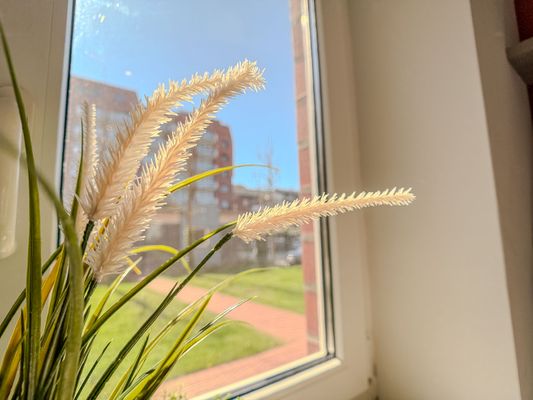 Foto 12 Ferienwohnung Ostfriesland Friesland FeWo Strandkörbchen Nr.3 - Schillig (Objekt 76055) suchen