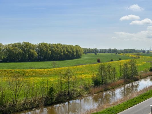 Foto 10 Ferienwohnung Ostfriesland Friesland Tief 10 mit beheiztem Pool - Robbe 407 (Objekt 26298) Reise