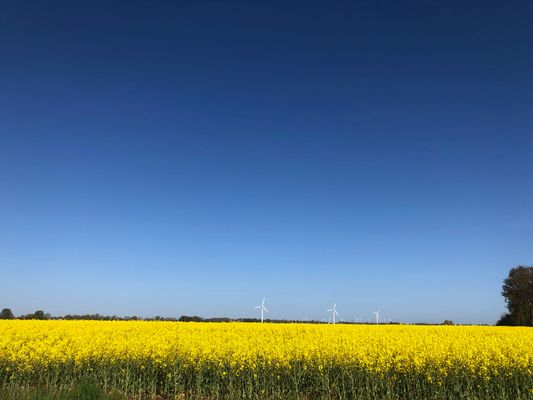 Foto 33 Ferienwohnung Ostfriesland Friesland Tief 10 mit beheiztem Pool - Deichkieker 204 (Objekt 26289) Nordsee