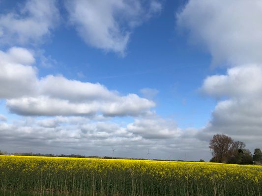 Foto 22 Ferienwohnung Ostfriesland Friesland Tief 10 mit beheiztem Pool - Wattwurm 210 (Objekt 26290) suchen