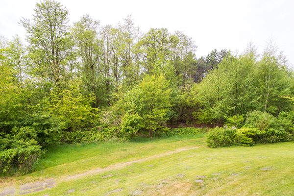 Foto 19 Ferienwohnung Ostfriesland Nordfriesland Appartement Sonneneck (Objekt 77693) Urlaub