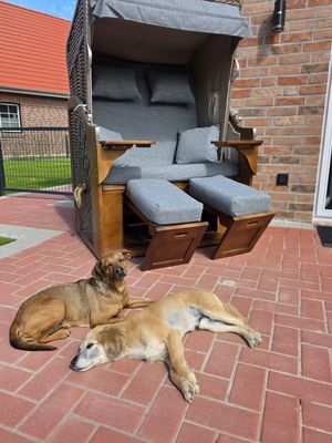 Foto 27 Ferienhaus Ostfriesland Krummhörn & Umgebung Moor Huus Auszeit (Objekt 71153) suchen