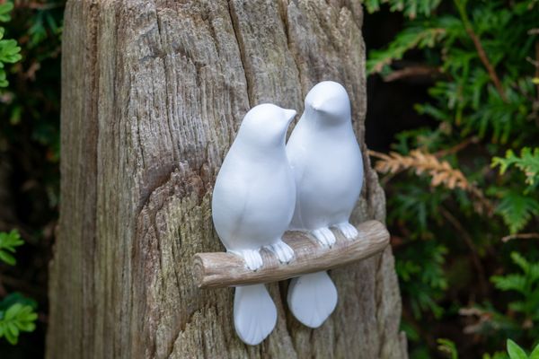 Foto 18 Ferienwohnung Ostfriesland Dornum & Umgebung Kleine Möwe (Objekt 76015) Nordsee