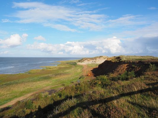 Landschaft