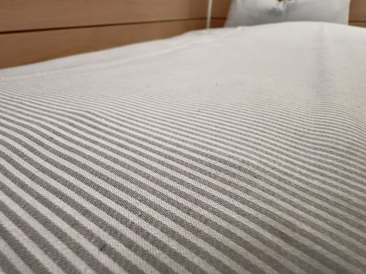 Foto 28 Ferienwohnung Ostfriesland Friesland Meeresleuchten mit Schwimmbad (Objekt 76507) Nordsee