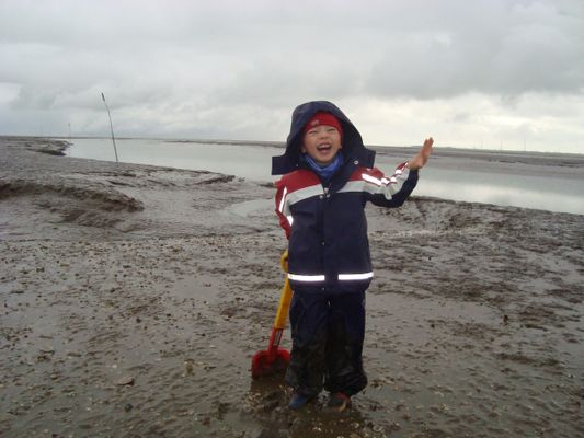 Foto 18 Ferienwohnung Ostfriesland Friesland Tief 12 Strandkieker mit Internet+Strandkorb am Strand (Objekt 26306) Nordsee