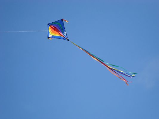 Foto 19 Ferienwohnung Ostfriesland Friesland Tief 12 Strandkieker mit Internet+Strandkorb am Strand (Objekt 26306) Urlaub