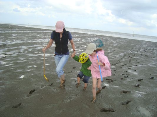Foto 21 Ferienwohnung Ostfriesland Friesland Tief 12 Strandkieker mit Internet+Strandkorb am Strand (Objekt 26306) buchen