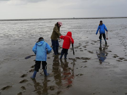 Foto 26 Ferienwohnung Ostfriesland Friesland Tief 12 Strandkieker mit Internet+Strandkorb am Strand (Objekt 26306) buchen