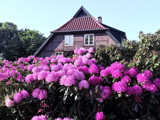 Foto 29 Ferienwohnung Ostfriesland Oldenburg & Umgebung Christel Zwischenahn (Objekt 50075) Urlaub