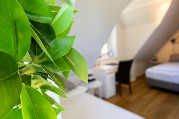 Foto 31 Ferienhaus Ostfriesland Nordfriesland Doppelhaushälfte Meerweh (Objekt 75816) buchen