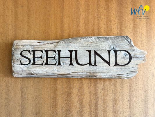 Foto 21 Ferienwohnung Ostfriesland Borkum Apartmenthaus Roberta Ferienwohnung Seehund (Objekt 76968) buchen