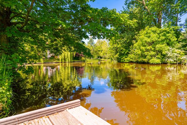 Foto 24 Ferienwohnung Ostfriesland Krummhörn & Umgebung Sielkiekjes (Objekt 50446) Urlaub
