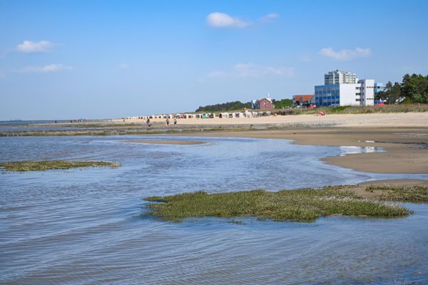 Foto 30 Ferienhaus Ostfriesland Zwischen Elbe und Weser Green Tiny Spot Cuxhaven Wernerwald - Sleep Space1 (Objekt 26728) Reise