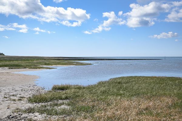 Foto 31 Ferienhaus Ostfriesland Zwischen Elbe und Weser Green Tiny Spot Cuxhaven Wernerwald - Sleep Space1 (Objekt 26728) buchen