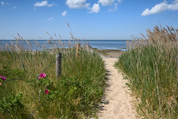 Foto 8 Ferienhaus Ostfriesland Zwischen Elbe und Weser Green Tiny Spot Cuxhaven Wernerwald - Sleep Space1 (Objekt 26728) Nordsee