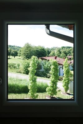 Chalet Chip-In, Haarbach