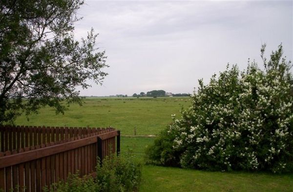 Gartenblick