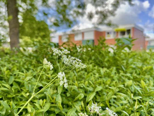 Foto 14 Ferienwohnung Ostfriesland Friesland FeWo Moin - Horumersiel (Objekt 26196) Urlaub