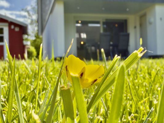 Foto 14 Ferienhaus Ostfriesland Friesland Haus Alter-Seedeich - Hooksiel (Objekt 77669) Urlaub