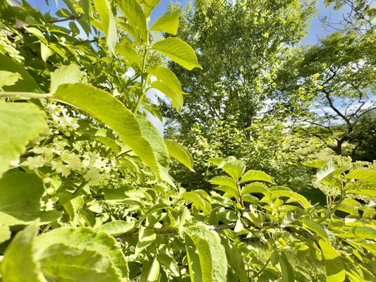 Foto 20 Ferienhaus Ostfriesland Friesland Haus Alter-Seedeich - Hooksiel (Objekt 77669) Reise