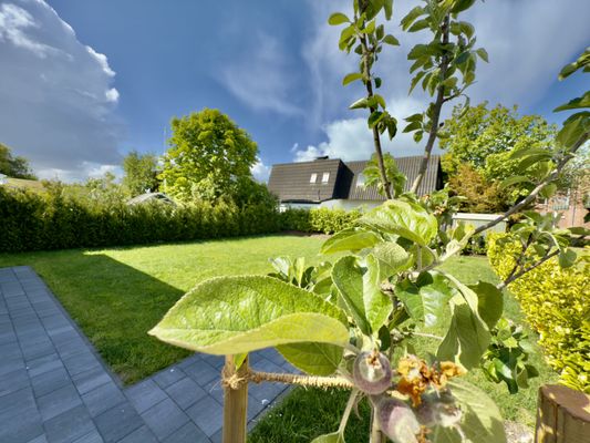 Foto 22 Ferienhaus Ostfriesland Friesland Haus Alter-Seedeich - Hooksiel (Objekt 77669) suchen