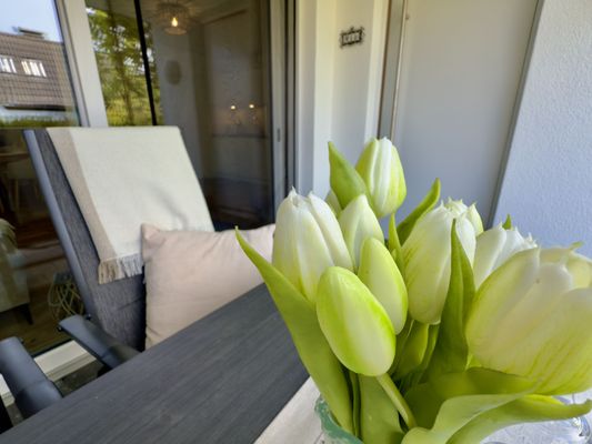 Foto 28 Ferienhaus Ostfriesland Friesland Haus Alter-Seedeich - Hooksiel (Objekt 77669) Nordsee