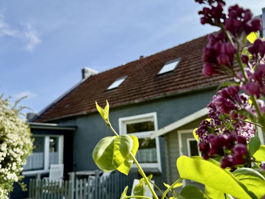 Foto 23 Ferienwohnung Ostfriesland Friesland FeWo Nordseeflair EG - Wiarden (Objekt 26198) Nordsee