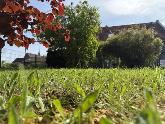 Foto 28 Ferienwohnung Ostfriesland Friesland FeWo Nordseeflair EG - Wiarden (Objekt 26198) Nordsee