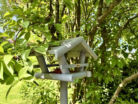 Foto 13 Ferienwohnung Ostfriesland Friesland FeWo Nordseeflair EG - Wiarden (Objekt 26198) Nordsee