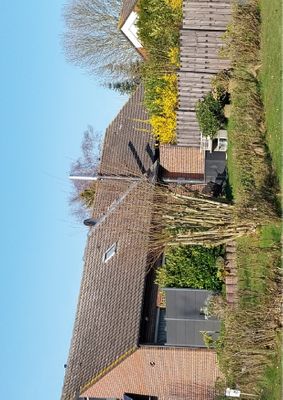 Foto 20 Ferienhaus Ostfriesland Neuharlingersiel & Umgebung Ferienhaus Papa (Objekt 61658) Reise
