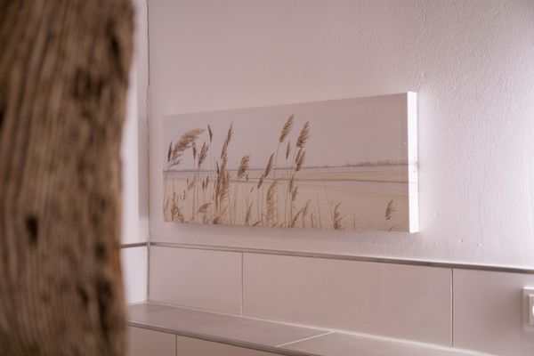 Foto 43 Ferienwohnung Ostfriesland Krummhörn & Umgebung Hof Van Senden 12 Luzie (Objekt 77093) Nordsee