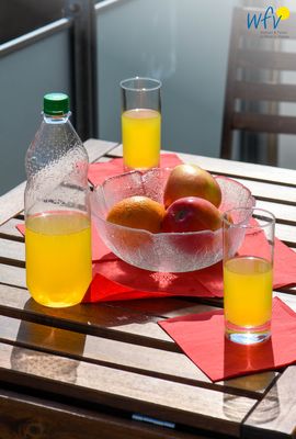 Foto 26 Ferienwohnung Ostfriesland Juist Haus Carl Stegmann Ferienwohnung FADAMA-HIN (Objekt 41364) buchen