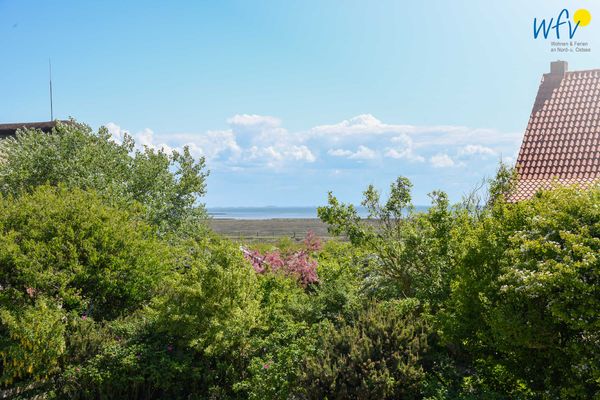 Foto 5 Ferienwohnung Ostfriesland Juist Haus am Erlenteich Ferienwohnung 2 (Objekt 63842) Reise