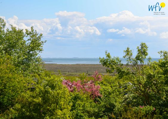 Foto 20 Ferienwohnung Ostfriesland Juist Haus am Erlenteich Ferienwohnung 2 (Objekt 63842) Reise