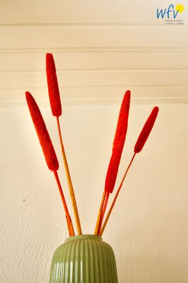 Foto 20 Ferienwohnung Ostfriesland Wangerooge Haus Elisabeth-Anna-Straße 9 Ferienwohnung 11 (Objekt 24759) Reise