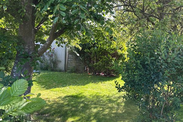 Foto 19 Ferienwohnung Ostfriesland Zwischen Elbe und Weser Diekhus Ferienwohnung 1 (DH01) (Objekt 77709) Urlaub