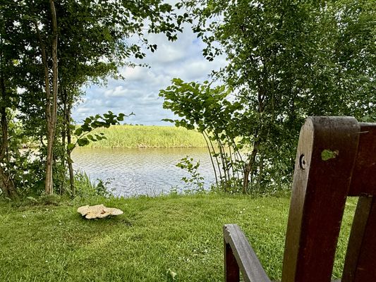 Foto 1 Ferienwohnung Ostfriesland Carolinensiel FeWo  Wikinger Harleblick - Altfunnixsiel (Objekt 78138) buchen