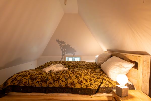 Foto 36 Ferienhaus Ostfriesland Nordfriesland Ferienhaus Bauernkate Basstölpel (Objekt 77873) buchen