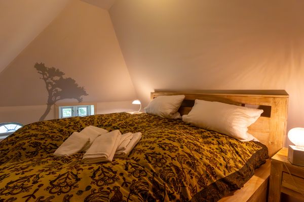 Foto 38 Ferienhaus Ostfriesland Nordfriesland Ferienhaus Bauernkate Basstölpel (Objekt 77873) Nordsee